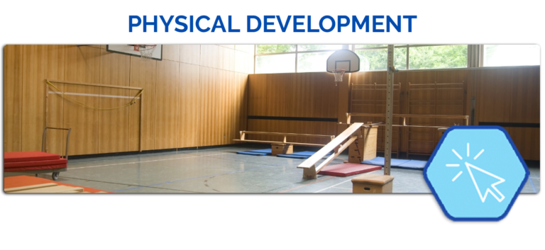 physical development open gym